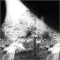 Godspeed You! Black Emperor Asunder, Sweet And Other Distress (LP)